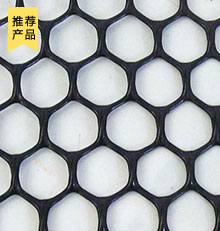 塑料土工網